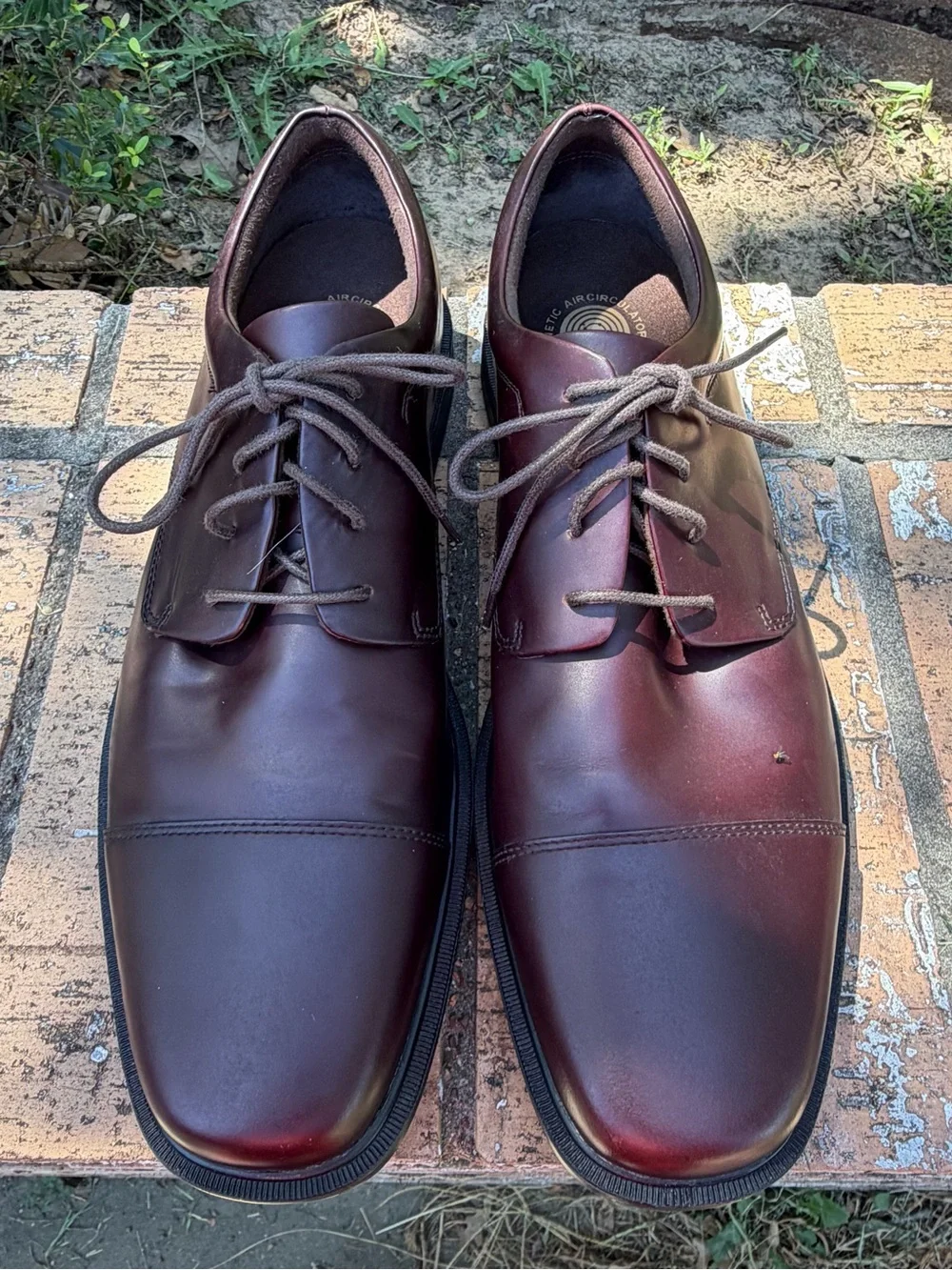 Burgundy Size 13N Rockport Ellingwood Waterproof Captoe Oxford Dress Shoes
